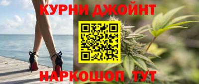spice Гатчина