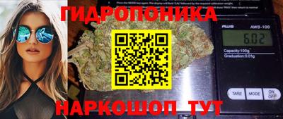 дурь Гагарин