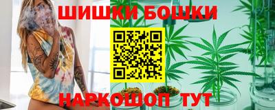 spice Гатчина