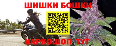 эйфоретик Гай
