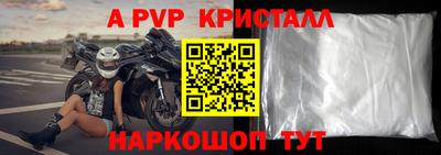 эйфоретик Гай