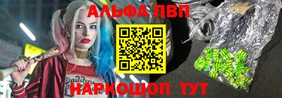spice Гатчина