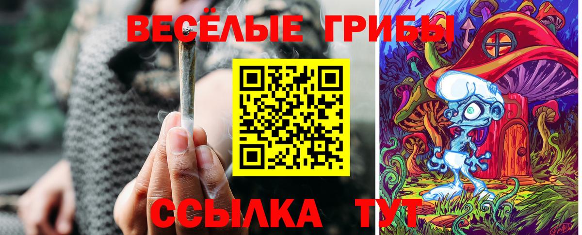 Псилоцибиновые грибы прущие грибы  Вход с VPN  Славянск-на-Кубани 