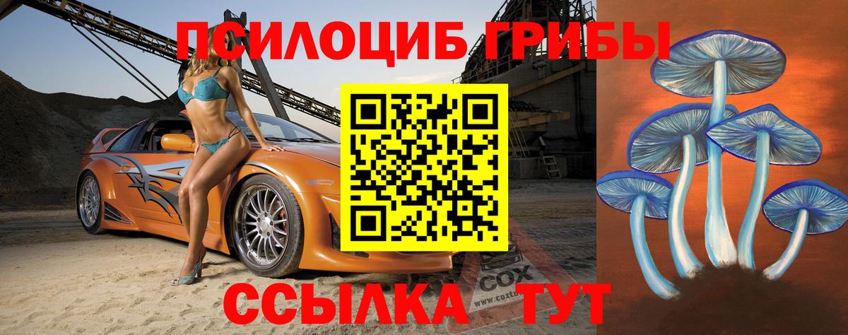 Псилоцибиновые грибы GOLDEN TEACHER Славянск-на-Кубани